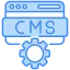 CMS Development